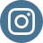 Instagram Icon